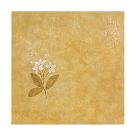 Pablo Esteban 'White Flower Stencil' Canvas Art,35x35